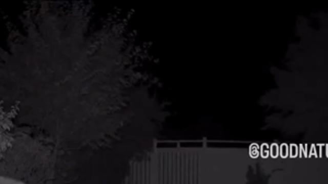 동네 친구와 야식 먹는 모습.mp4