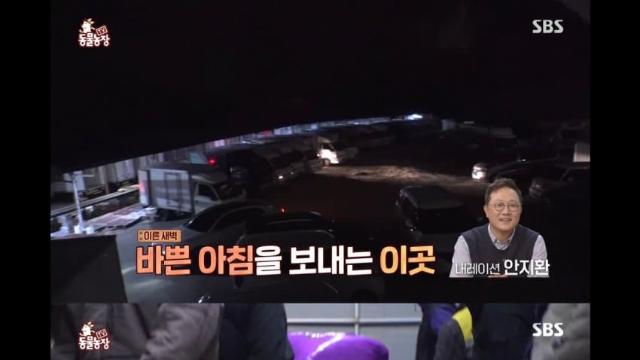 동물농장에 나온 100만원 피해 일으킨 냥이들
