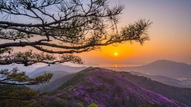 강화도 가볼 만한 곳, 역사와 자연을 담은 산 4곳