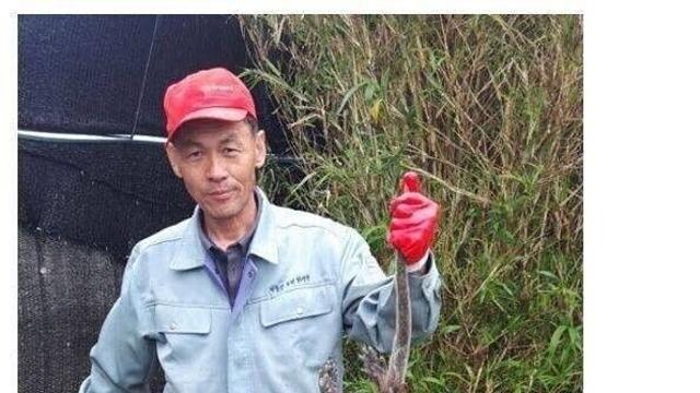 동네북 된 생태계 교란종.