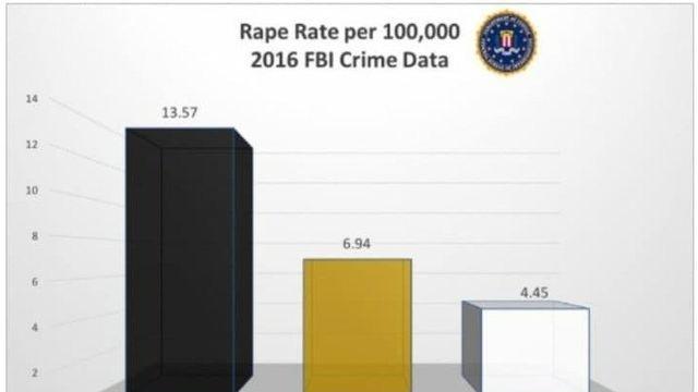 범죄 통계로 알아보는 미국 사회