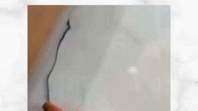 선 끊어먹은 보더콜리의 행동