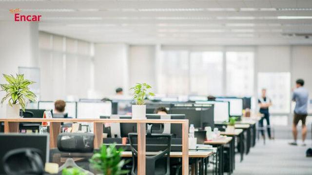 엔카닷컴, AI 코딩 도구 ‘커서’ 도입, AI 중심 조직 전환 착수
