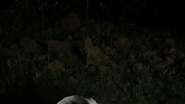 고아성, 제주 여름 패션으로 '청량미 폭발'…베이스볼 캡+데님 조합 완벽