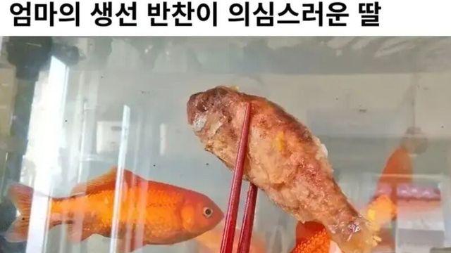 엄마의 생선 반찬이 의심스러운 딸