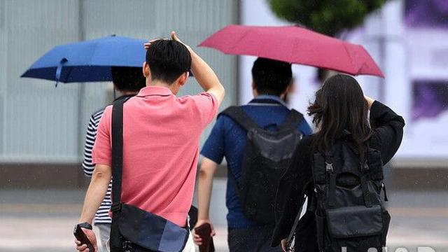 대구·경북, 최대 80㎜ 강한 비…지역 강수량·강도 '도깨비'