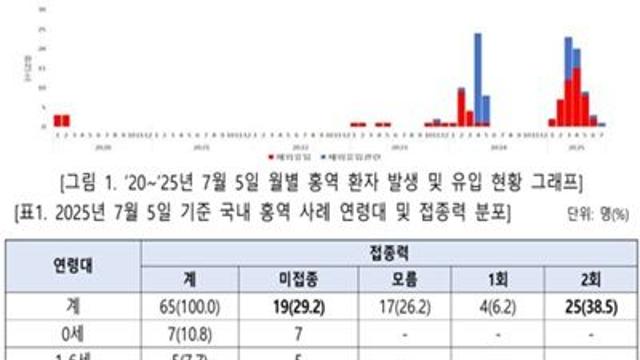 여름철 해외여행 홍역 감염 주의보…국내 환자 65명 중 70.8%가 해외유입