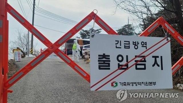金총리, 파주 아프리카돼지열병 방역 조치 긴급 지시