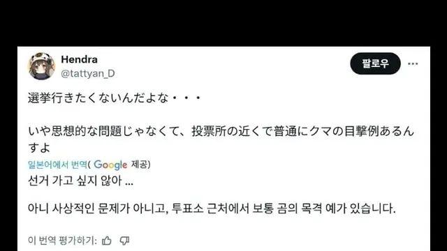 민주주의가 목숨보다 소중하진 않다는 일본인,,