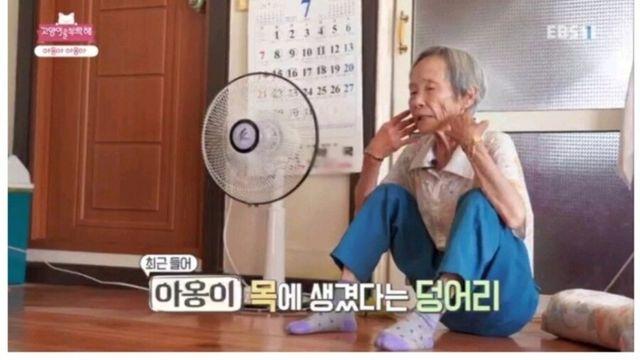 고양이를 부탁해.