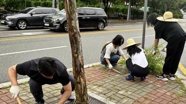 수원시 장안구 정자1동, 잡초 제거로 안전한 마을환경 확보