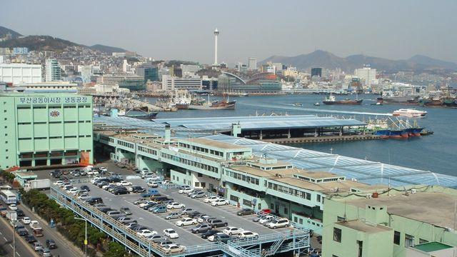 부산공동어시장 창고 자물쇠 부수고 수산물 훔친 50대 구속