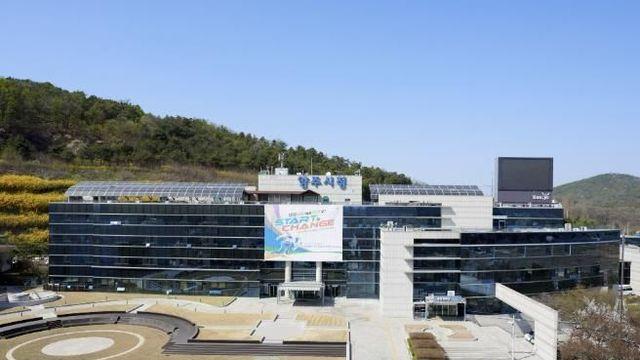 양주시, 혹서기 맞아 길고양이 중성화 사업 일시 중단