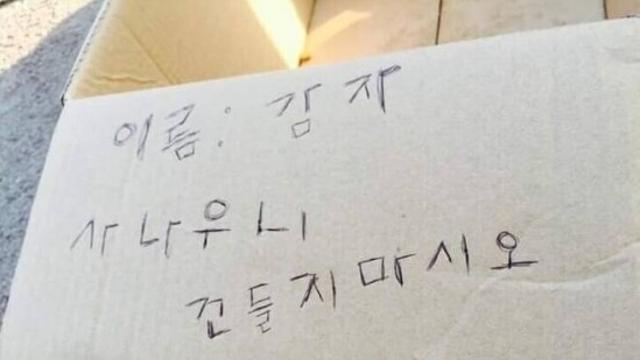 건들면 큰 일납니다.