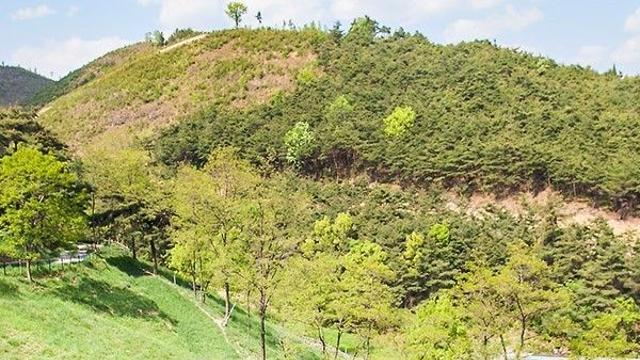 칠곡 가볼 만한 곳, 아이와 함께하는 체험 여행지