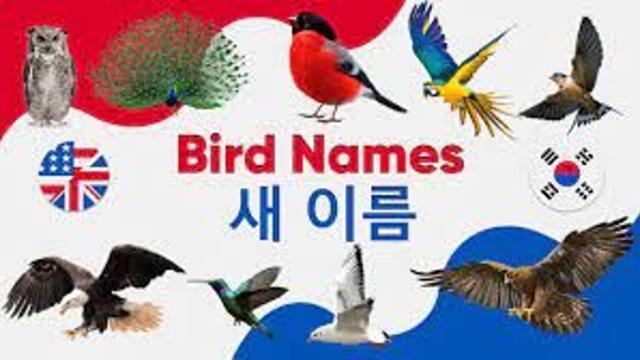 새 이름이 이상해.