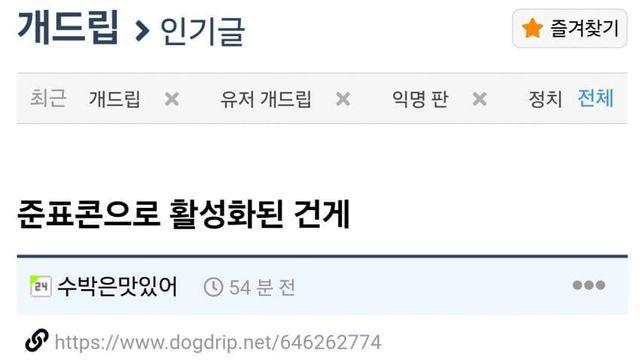 준표콘에 난리난 영포티사이트 개드립넷