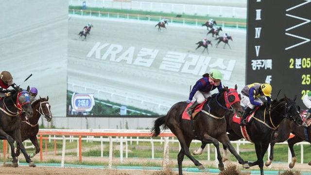 승부의 계절이 달려온다…하반기 한국 경마 빅매치 주목