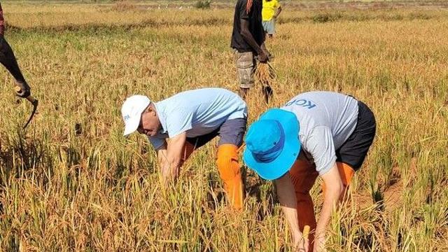 농진청, 케냐 국제학술토론회서 K-라이스벨트 성과 공유