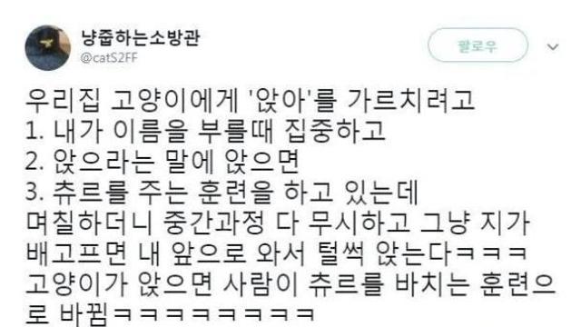샴 고양이 머리에 '앉아'를 입력시킨 결과.jpg