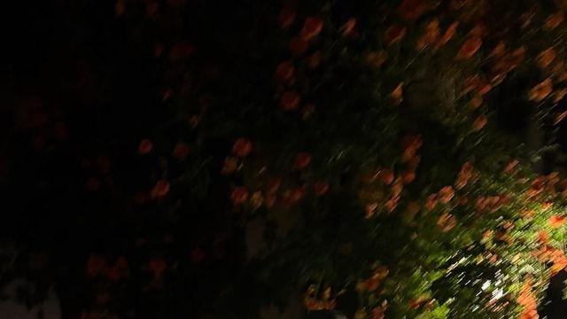 셔츠를 허리에... 신시아, 평범한 아이템으로 완성한 '힙스터' 바이브