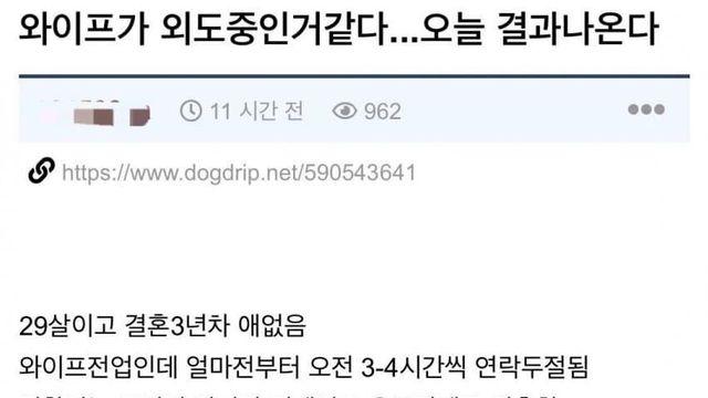 아내가 외도중인 것 같다는 사람