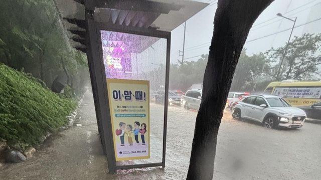 싱붕이 ㅈ됐다!!!