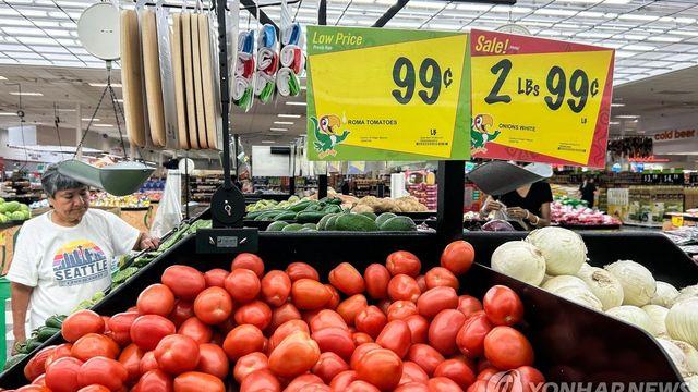 '17% 관세'에 美수출 차질 멕시코 토마토, 한국 식탁 오르나