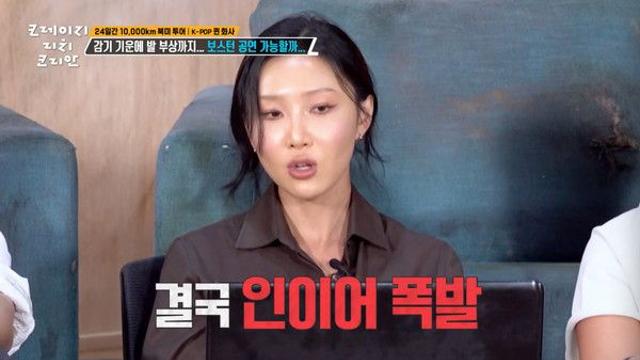 화사, 