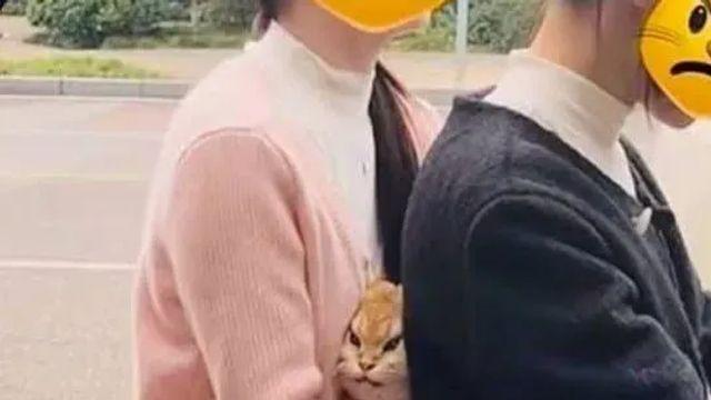 너무 붙는거 아니냥,,