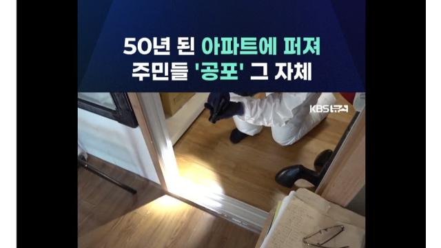 부산 현재 난리라는 벼룩 문제 (빈대아님)
