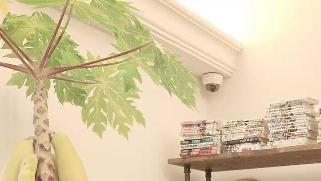 하리수, '사기당했다' 스팸 DM에 분노…