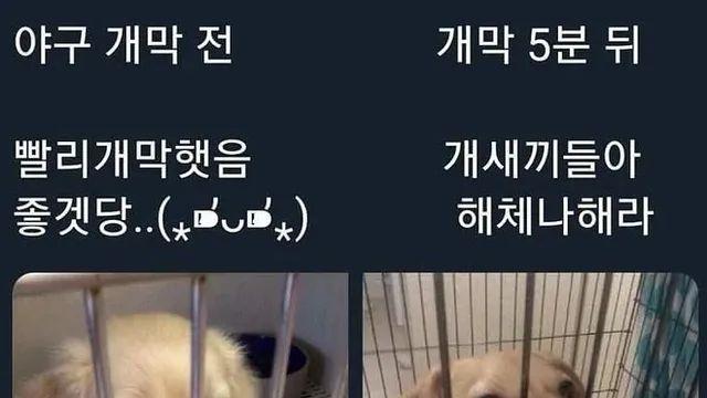 예전부터 꼴보기싫은거