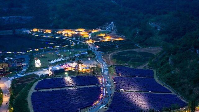 동해 무릉별유천지, 18일~11월 1일 야간개장...여름~가을시즌  별밤 낭만 즐겨요! 