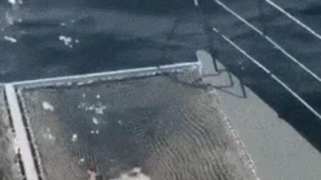 바다에서 튀겨지는 남자 ㄷㄷ..gif