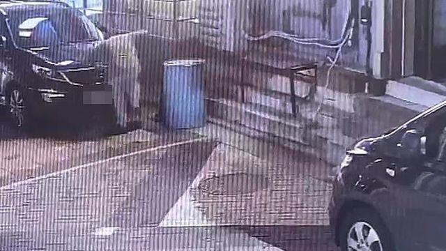 길고양이 안전고깔에 가두고 학대해 죽인 20대…경찰 수사