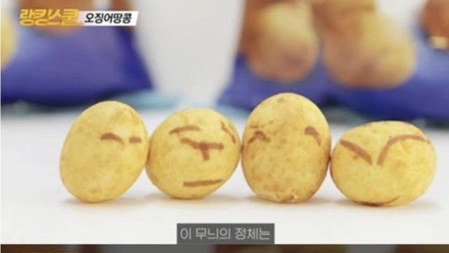 오징어땅콩 무늬 정체