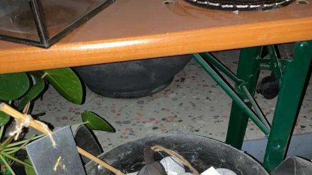 서울놈들도 깜짝 놀란다는 강남 물가