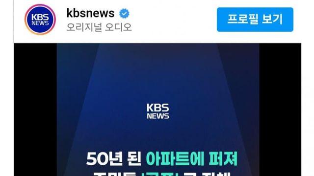 부산 현재 난리라는 벼룩문제