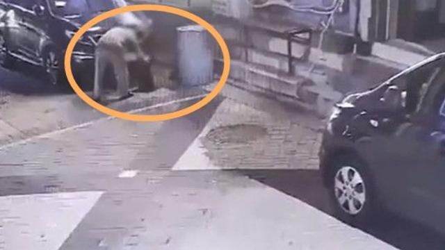 길고양이 안전고깔에 가두고 죽인 20대 男…경찰 조사 예정