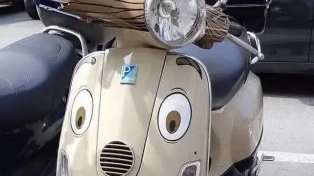 어느 스쿠터의 노즈 아트,,