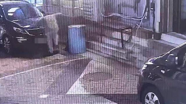 안전고깔에 길고양이 가두고…잔혹 학대해 죽인 20대
