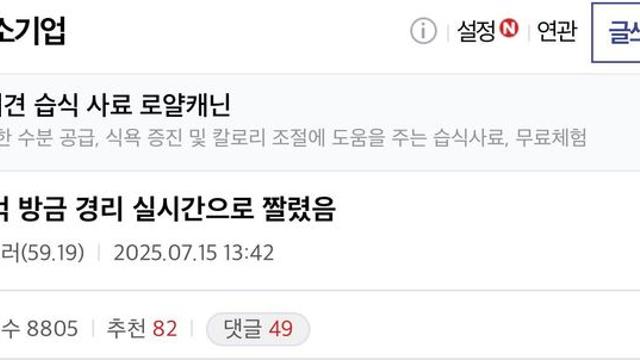 실시간으로 해고 당했다는 경리