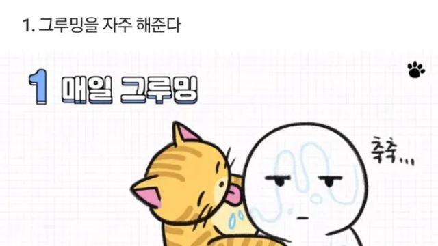 고양이가 당신을 아기로 여긴다는 증거.jpg
