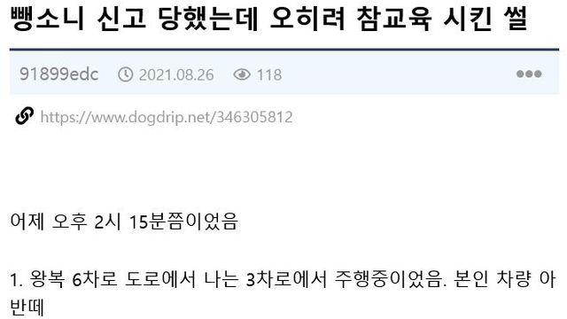 뺑소니 신고 먹었는데 오히려 참교육 시킨 썰.ssul