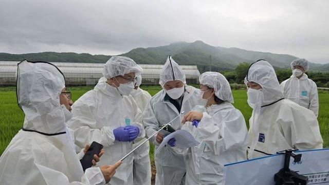 경기도 파주서 아프리카돼지열병(ASF) 발생…고준호 경기도의원, 24시간 내 현장 방문