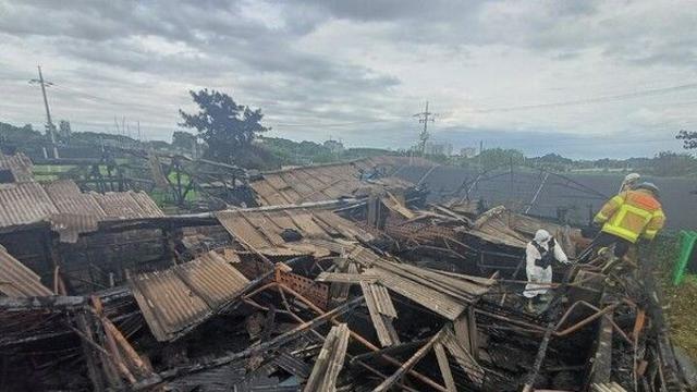 충남 논산 연무읍 돼지농장서 불…545마리 폐사