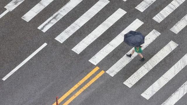 전국 대부분서 돌풍 동반한 비…광주·전남 400㎜ '물 폭탄'[오늘날씨]
