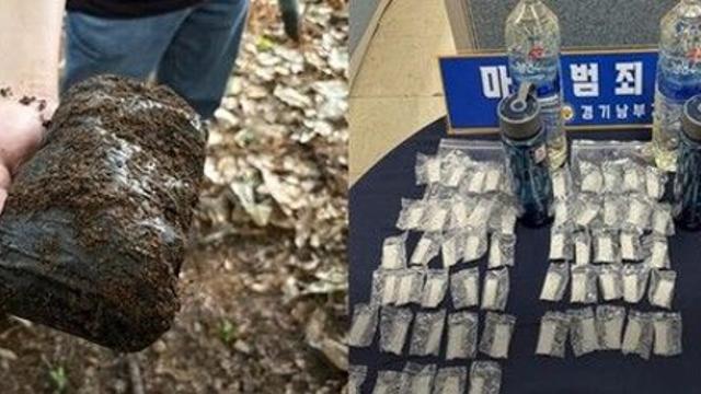 공원 나무 밑 파내자 '검은 봉지'…서울 도심 곳곳 파고든 마약