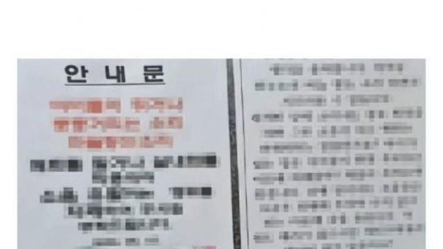 캣맘들이 사라진 이유.jpg